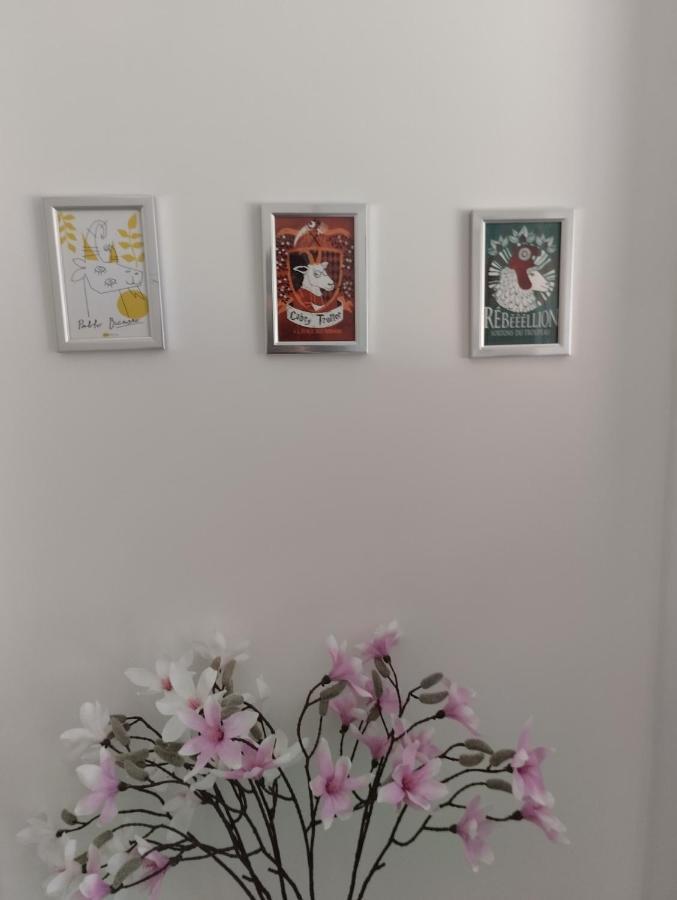 אובנה Studio Jardin מראה חיצוני תמונה